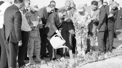 «الوادى الجديد».. سلة غذاء مصر