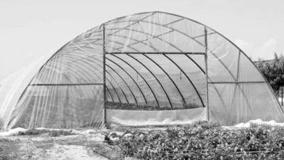 ليست بالسياحة وحدها تحيا «الأقصر»!