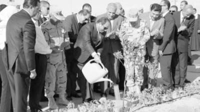 «الوادى الجديد».. سلة غذاء مصر