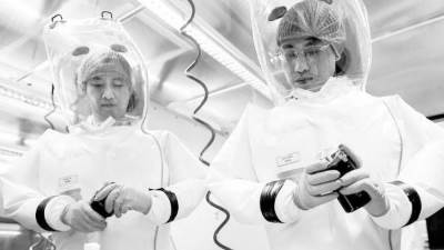 التاريخ الأسود لحروب الفيروسات!!