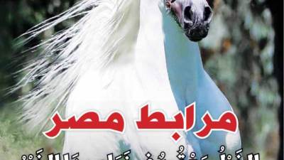 عدد ديسمبر 2020