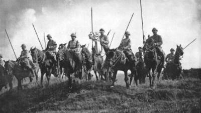 طرائف الخيول