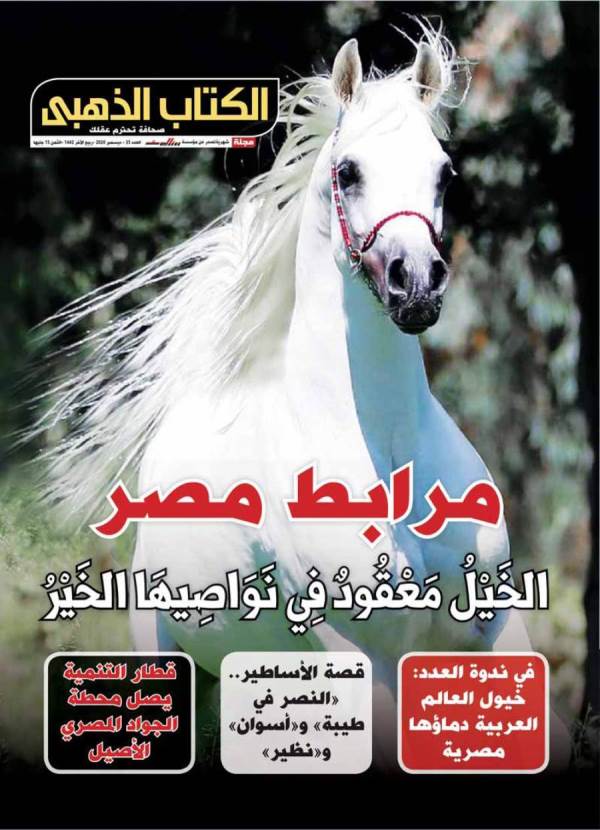 عدد ديسمبر 2020